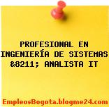 PROFESIONAL EN INGENIERÍA DE SISTEMAS &8211; ANALISTA IT