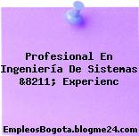 Profesional En Ingeniería De Sistemas &8211; Experienc