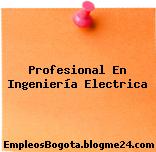 Profesional En Ingeniería Electrica