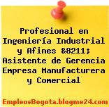 Profesional en Ingeniería Industrial y Afines &8211; Asistente de Gerencia Empresa Manufacturera y Comercial