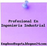 profesional en Ingeniería Industrial