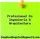 Profesional En Ingeniería O Arquitectura