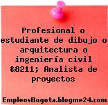 Profesional o estudiante de dibujo o arquitectura o ingeniería civil &8211; Analista de proyectos