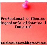 Profesional o Técnico ingeniería eléctrica | [HH.910]