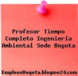 Profesor Tiempo Completo Ingeniería Ambiental Sede Bogota