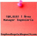 (QO.819) | Área Manager Ingeniería