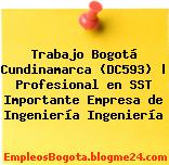 Trabajo Bogotá Cundinamarca (DC593) | Profesional en SST Importante Empresa de Ingeniería Ingeniería