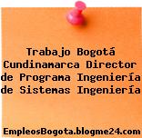 Trabajo Bogotá Cundinamarca Director de Programa Ingeniería de Sistemas Ingeniería