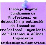 Trabajo Bogotá Cundinamarca Profesional en detección y extinción de incendios Profesional Ingeniería de Sistemas o afines Ingeniería