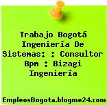 Trabajo Bogotá Ingeniería De Sistemas: : Consultor Bpm : Bizagi Ingeniería
