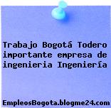 Trabajo Bogotá Todero importante empresa de ingenieria Ingeniería