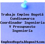 Trabajo Empleo Bogotá Cundinamarca Coordinador Ingenieria Y Presupuesto Ingeniería