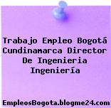 Trabajo Empleo Bogotá Cundinamarca Director De Ingenieria Ingeniería