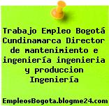 Trabajo Empleo Bogotá Cundinamarca Director de mantenimiento e ingeniería ingenieria y produccion Ingeniería