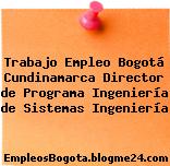 Trabajo Empleo Bogotá Cundinamarca Director de Programa Ingeniería de Sistemas Ingeniería