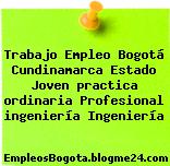 Trabajo Empleo Bogotá Cundinamarca Estado Joven practica ordinaria Profesional ingeniería Ingeniería