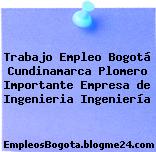 Trabajo Empleo Bogotá Cundinamarca Plomero Importante Empresa de Ingenieria Ingeniería