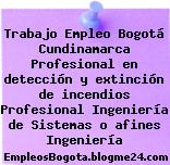 Trabajo Empleo Bogotá Cundinamarca Profesional en detección y extinción de incendios Profesional Ingeniería de Sistemas o afines Ingeniería