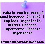 Trabajo Empleo Bogotá Cundinamarca (R-134) | Empleo: Ingeniería &8211; Gerente Importante Empresa Ingeniería