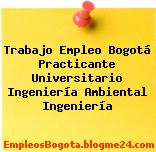 Trabajo Empleo Bogotá Practicante Universitario Ingeniería Ambiental Ingeniería