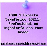 TSDM 3 Experto Semafórico &8211; Profesional en Ingeniería con Post Grado