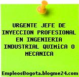 URGENTE JEFE DE INYECCION PROFESIONAL EN INGENIERIA INDUSTRIAL QUIMiCA O MECANICA
