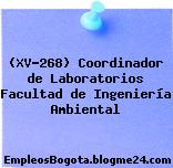 (XV-268) Coordinador de Laboratorios Facultad de Ingeniería Ambiental
