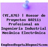 (YE.676) | Asesor de Proyectos &8211; Profesional en Ingeniería Industrial Mecánica Electrónica