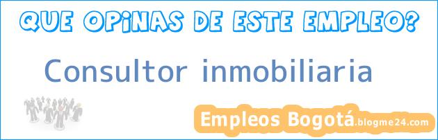Consultor inmobiliaria