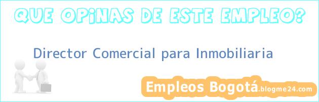 Director Comercial para Inmobiliaria