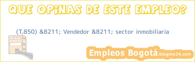 (T.850) &8211; Vendedor &8211; sector inmobiliaria