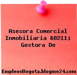 Asesora Comercial Inmobiliaria &8211; Gestora De
