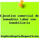 Ejecutivo comercial de Inmuebles Labor con Inmobiliaria