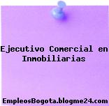 Ejecutivo Comercial en Inmobiliarias