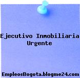 Ejecutivo Inmobiliaria Urgente