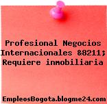 Profesional Negocios Internacionales &8211; Requiere inmobiliaria