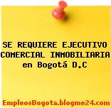 SE REQUIERE EJECUTIVO COMERCIAL INMOBILIARIA en Bogotá D.C