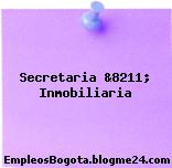 Secretaria &8211; Inmobiliaria
