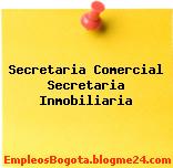 Secretaria Comercial Secretaria Inmobiliaria