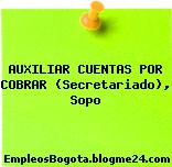 AUXILIAR CUENTAS POR COBRAR (Secretariado), Sopo