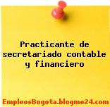 Practicante de secretariado contable y financiero