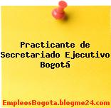 Practicante de Secretariado Ejecutivo Bogotá