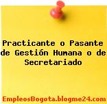 Practicante o Pasante de Gestión Humana o de Secretariado