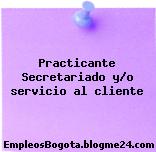 Practicante Secretariado y/o servicio al cliente