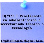 (Q737) | Practicante en administración o secretariado técnico o tecnología