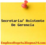 Secretaria/ Asistente De Gerencia