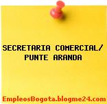 SECRETARIA COMERCIAL/ PUNTE ARANDA