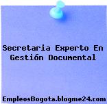 Secretaria Experto En Gestión Documental