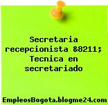 Secretaria recepcionista &8211; Tecnica en secretariado