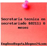 Secretaria tecnica en secretariado &8211; 6 meses